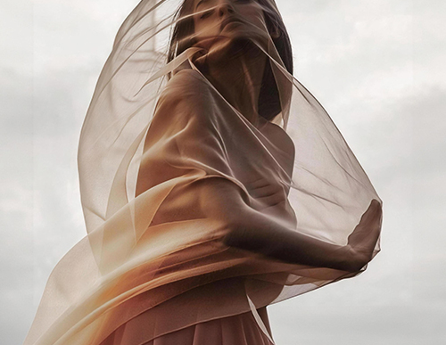 Mesh Fabrics
